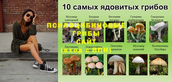 MESCALINE Баксан